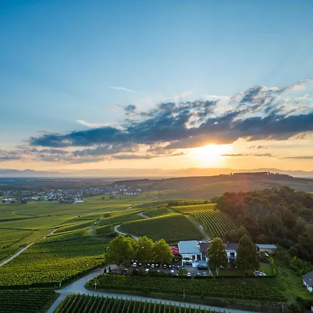 Koepfers Steinbuck Bischoffingen