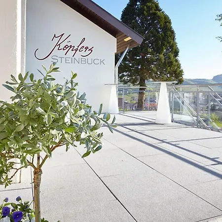 Отель Koepfers Steinbuck 3*