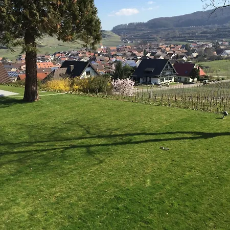 Hotel Koepfers Steinbuck Bischoffingen