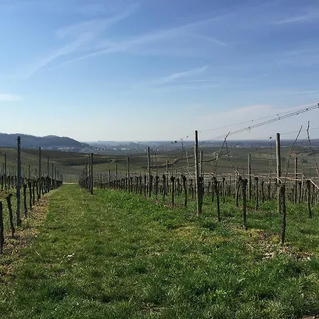 Koepfers Steinbuck Отель Bischoffingen