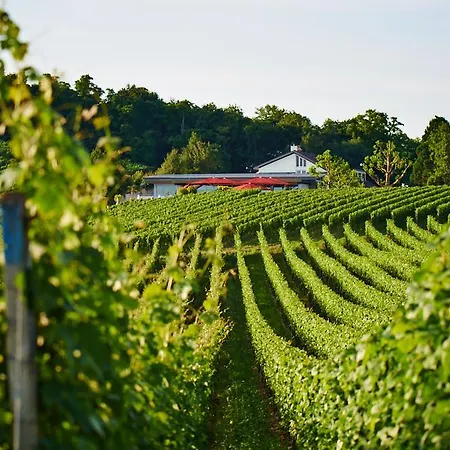 Koepfers Steinbuck Bischoffingen