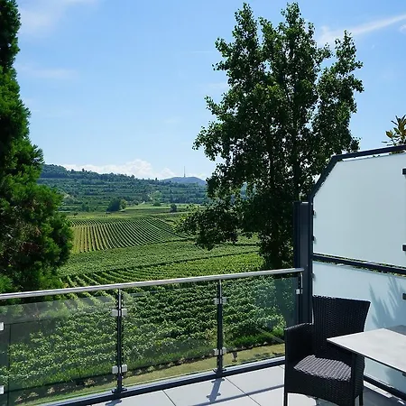 Отель Koepfers Steinbuck Bischoffingen