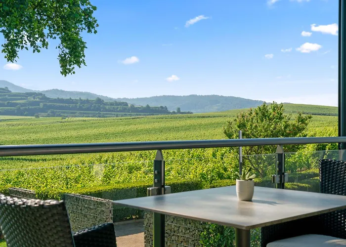 Koepfers Steinbuck Ξενοδοχείο