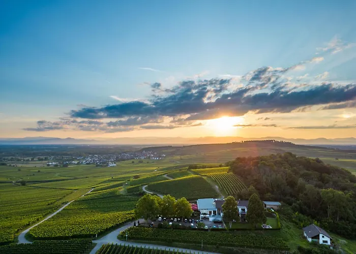 Koepfers Steinbuck Bischoffingen