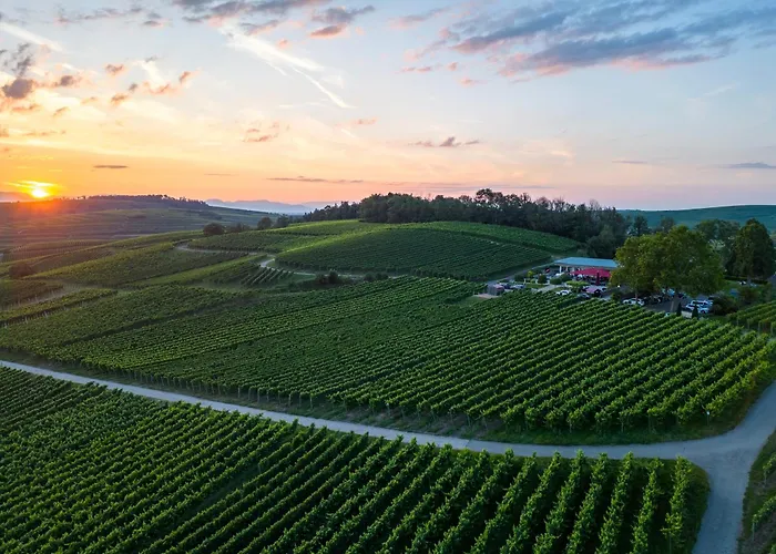 Koepfers Steinbuck 3* Bischoffingen