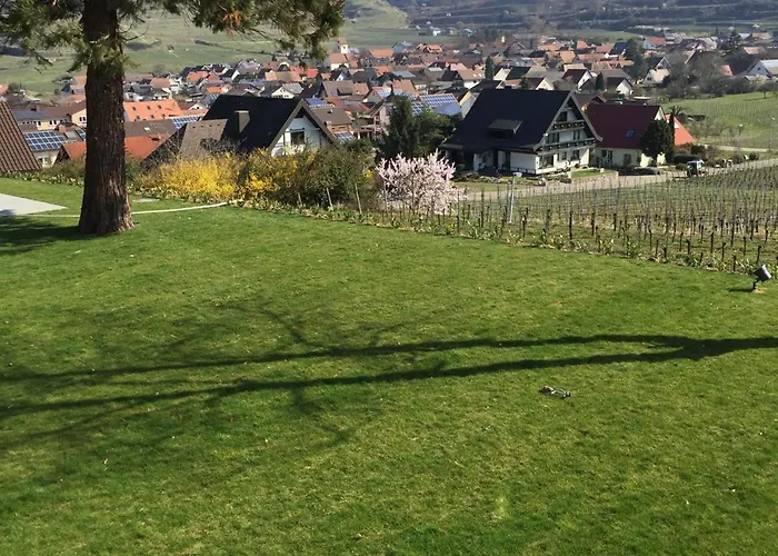 Szálloda Koepfers Steinbuck Bischoffingen