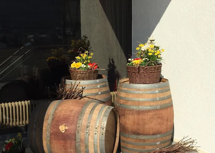 Koepfers Steinbuck Ξενοδοχείο 3*