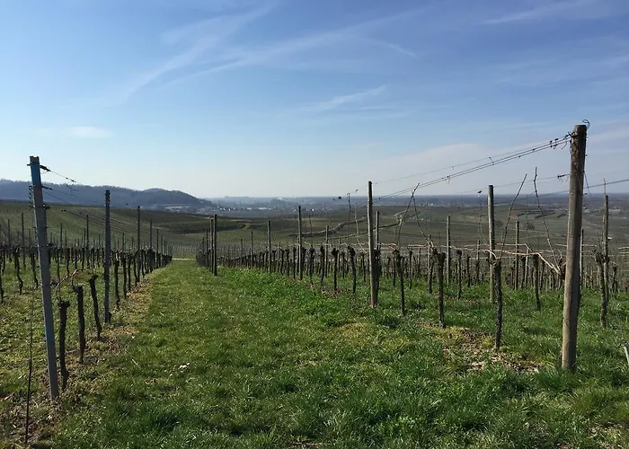 Koepfers Steinbuck Hotel Bischoffingen