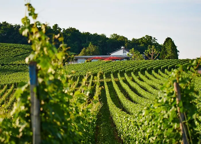 Koepfers Steinbuck Bischoffingen